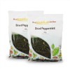 Peppermint 250g (BWFO)