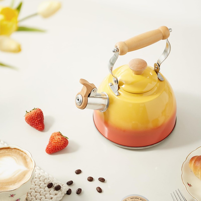 ROCKURWOK Tea Kettle, Tea Pot with Cool Touch Ergonomic Handle,
