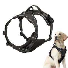 GXGM 1 Stück Hundegeschirr Ohne Zug, Zuggeschirr Hund, Hundegeschirr Mittelgroße Hunde, Brustgeschirre für Hunde, Atmungsaktiv Brustgeschirr mit Reflexstreifen, Einstellbar Weich Schwarz,M