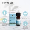 Tisserand Aromatherapy | Eucalyptus Ethically Harvested Essential Oil | 100%