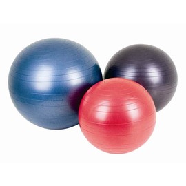 Aeromat Fitness Ball Color/Size: Red / 21.65" Diameter