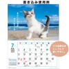 Active Corporation 2026 Wall Calendar CAT Monthly 26ACL-06, Starts January