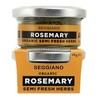Seggiano Organic Semi Fresh Herbs - Rosemary