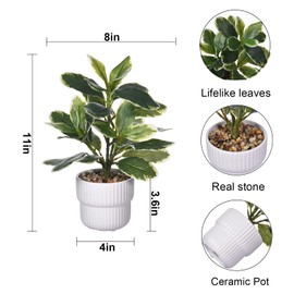 WishTip Artificial Potted Rubber Plant with White Ceramic Pot Variegated Rubber Tree for Indoor Office Bathroom Home Décor