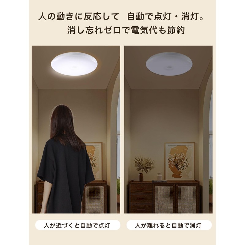 Forest Gathering Ceiling Light with Motion Sensor LED 1100 lm