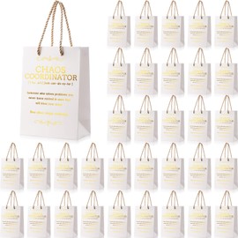 Gilprop 30 Pcs Chaos Coordinator Gifts Bags Bulk for Boss Employee Appreciation Paper Bags 5.9 x 3.1 x 8.3'' Inspirational Gift Sack with Handles for Nurse Coworkers Teachers