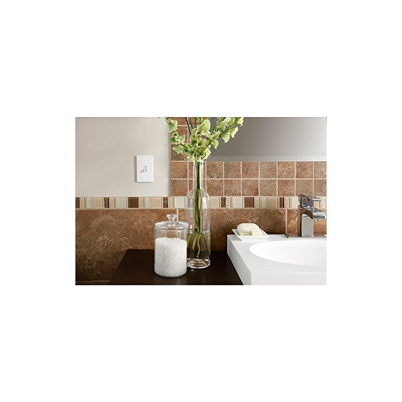 Lutron Toggler 1000-Watt Single-Pole Incandescent Dimmer Switch, AY-10PH-WH, White