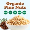 Food to Live Organic Pine Nuts, 1 Pound – Non-GMO,