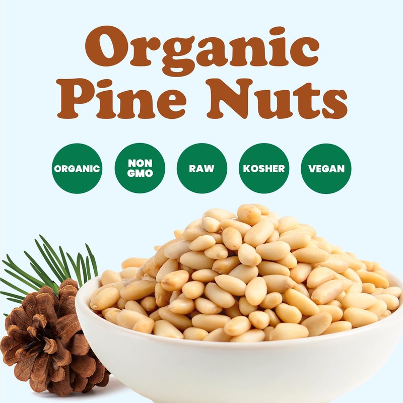 Food to Live Organic Pine Nuts, 1 Pound – Non-GMO,