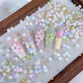 1 Pack Flower Nail Charms Colored Pearl Leaf Designs Nail Gems Mixed 3D Fresh &Cute Steel Ball Nail Art Charms Resin Flower Nail Accessories for Wearing Decor