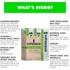 Electrolyte Powder Packets - Vegan Electrolyte Hydration Powder wSea Minerals