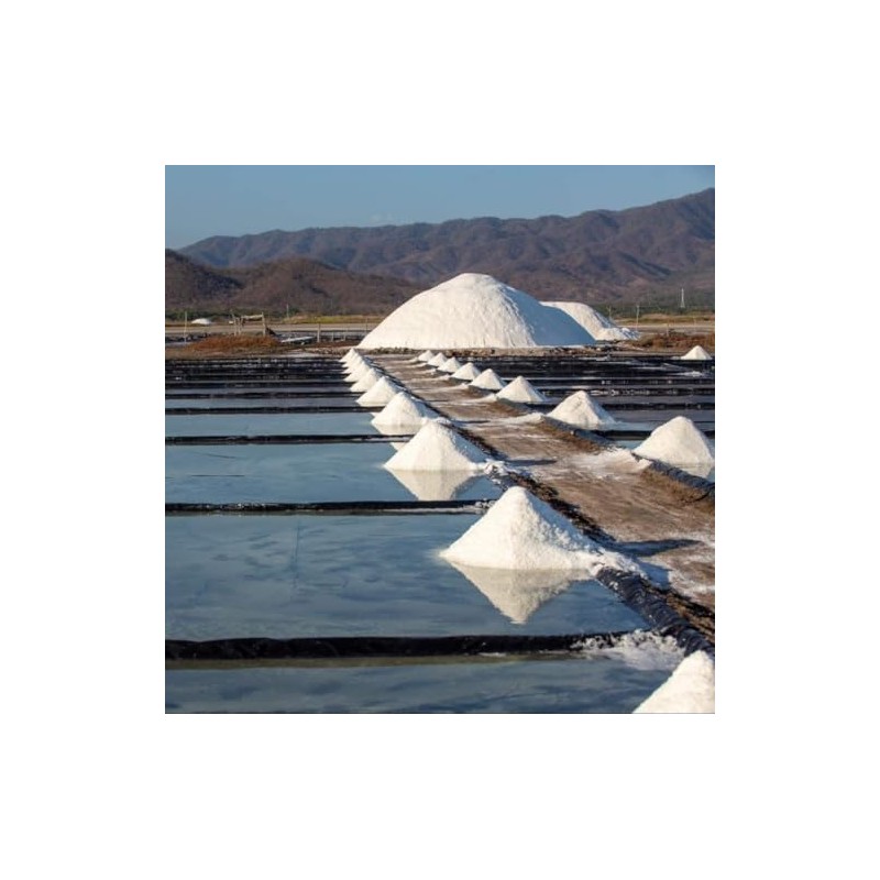 Flor De Sal Natural Artesanal Salineros Cuyutlán Colima 1kg
