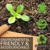 Honeycomb Packing Paper - Biodegradable Alternative to Bubble Wrap, 30cm