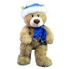 Plush toys wonderland Toboggan the Teddy 16″ Plush Bear, Snuggly