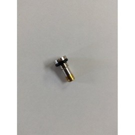 Taniokoba Injection Valve for Domestic Gas Conversion