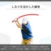 AZNABLE Golf Practice Swing Practice Equipment Swinging Stick Training Sitting