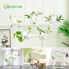 Glasseam Hanging Planters Glass Terrarium: 5Pcs Modern Plant Propagation Stations