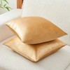 GriNeed Throw Pillow Covers Gold Set of 2 20x20 Inch