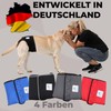 Nature Pet Hygiene Sanitary Pants for Female Dogs/ Pet Dog