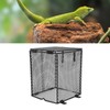 Reptile Lamp Cover Professional Prevents Scald Protective Reptile Heater Lamp