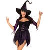 LEG AVENUE 2 PC Mystical Witch, includes dress with spiderweb