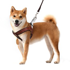 Polyester & Genuine Leather No Pull Dog Harness with Reflective Strips, Lightweight Vest with AirTag Holder for Small Sized Dog, Adjustable Puppy Harness with Leash, Cat Harness and Leash