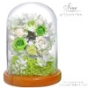 Teat Sight Preserved Flower Flower Gift Flower Present Glass Dome