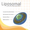 Quest - Liposomal Vitamin C 60x 500mg Vegan Capsules. High