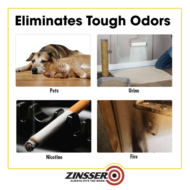 Zinsser 305928 Odor Killing Primer, Gallon, Clear