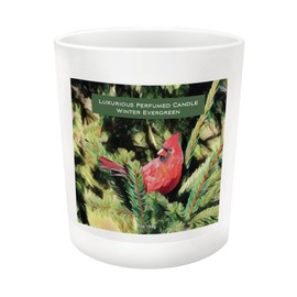 Enesco Izzy and Oliver Caring Cardinals Always in Our Hearts Scented Jar Candle, 7 Ounce, Winter Evergreen