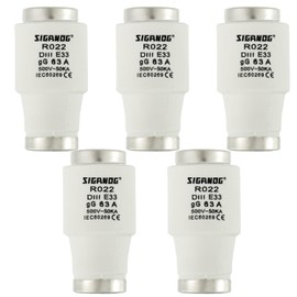 SIGANDG Neozed 5 Pcs Ceramic DIII Fuse gG Type 63A 500VAC for Cable and Line Protection