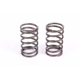 Honda 2 Pack Genuine 14751-ZE1-000 Valve Spring OEM