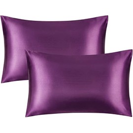 Satin silky PillowCases - 2 Packs Silky-soft, Anti-static Dust Mite Resistant (Purple)