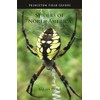 Spiders of North America (Princeton Field Guides)