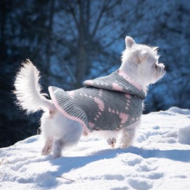 BAEJMJK Dog Sweater Dress with Leash Hole Hooded Girl Dog Pullover Warm Turtleneck Dog Knitwear Cute Pet Puppy Cat Knitted Clothes for for Small Medium Dogs(Grey,Medium)