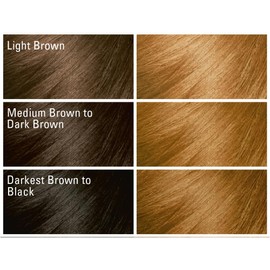 SoftSheen-Carson Dark and Lovely Fade Resist Rich Conditioning Color, Honey Blonde 378