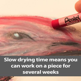 Pentel Arts Oil Pastels, One Pack of 36 Assorted Colours (OPHN-36)