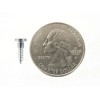 SFS Nova Windshield & Rear Window Trim Molding Clip Screw-in