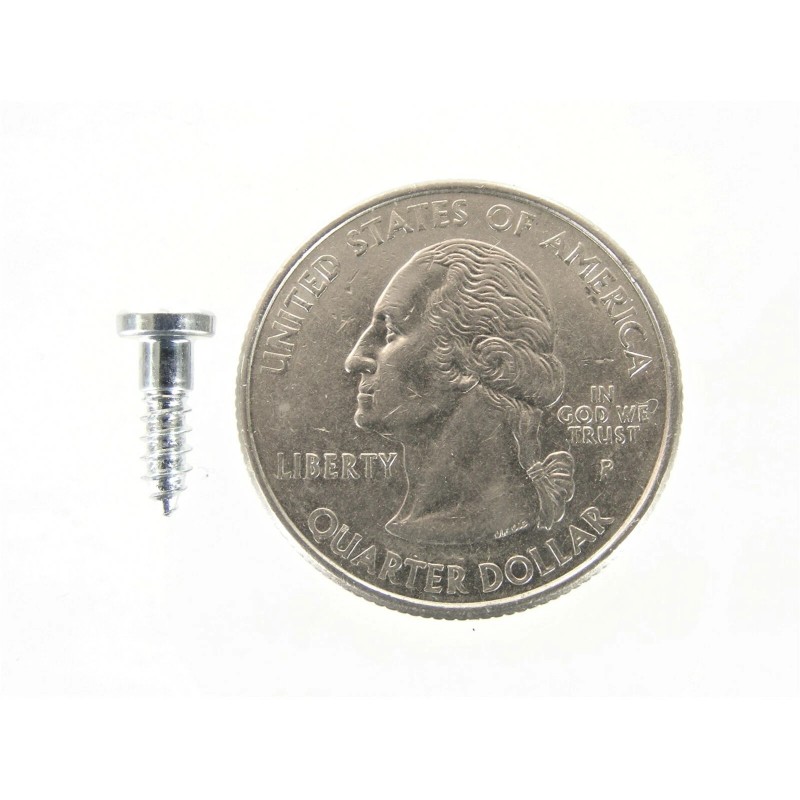 SFS Nova Windshield & Rear Window Trim Molding Clip Screw-in