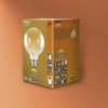 Integral Sunset Vintage 95mm (Globe 95) 2.5W (40W) 1800K 170lm