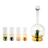 Tequila Aloe Decanter Set with Agave Plant - 750mL Bottle,