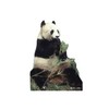 Advanced Graphics Panda Bear Life Size Cardboard Cutout Standup