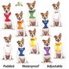 Dexil Limited DO NOT PET Red Colour Coded Non-Pull Front