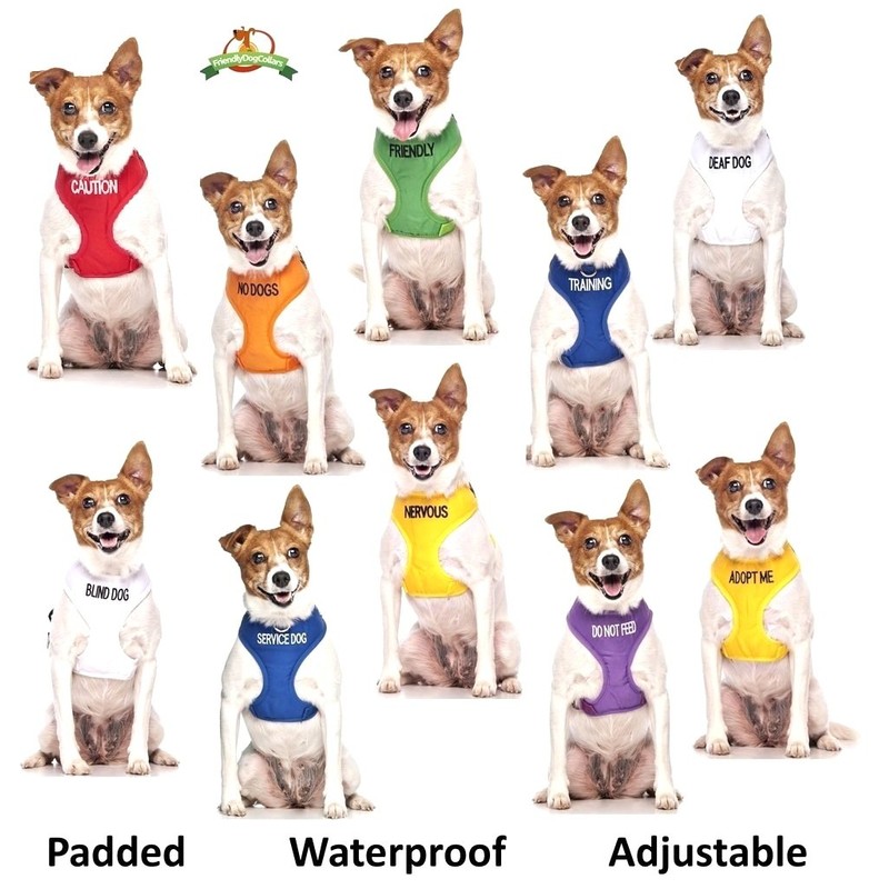 Dexil Limited DO NOT PET Red Colour Coded Non-Pull Front