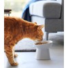 Yamazaki Home Tower Elevated Ceramic Pet Food Bowl - Angled,