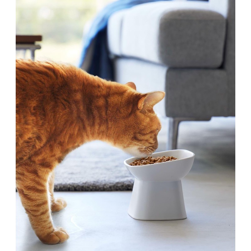 Yamazaki Home Tower Elevated Ceramic Pet Food Bowl - Angled,
