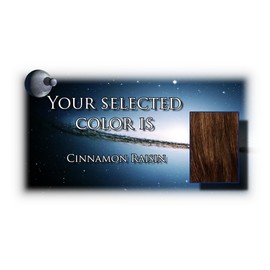 Shari Large by Envy Wigs, Color Chosen: Cinnamon Raisin