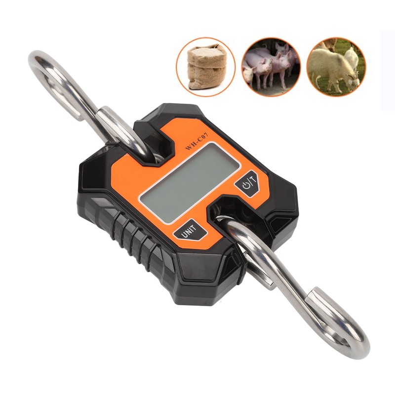 Digital Fishing Scale Multifunction 0.2kg to 100kg Portable Electronic Hook