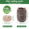 bssmmai 100 x Coconut Source Tablets with Mesh Growing Support