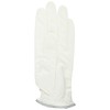 Casco DNA SUEDE LADIES SF-2010L Women's Synthetic Leather Golf Gloves